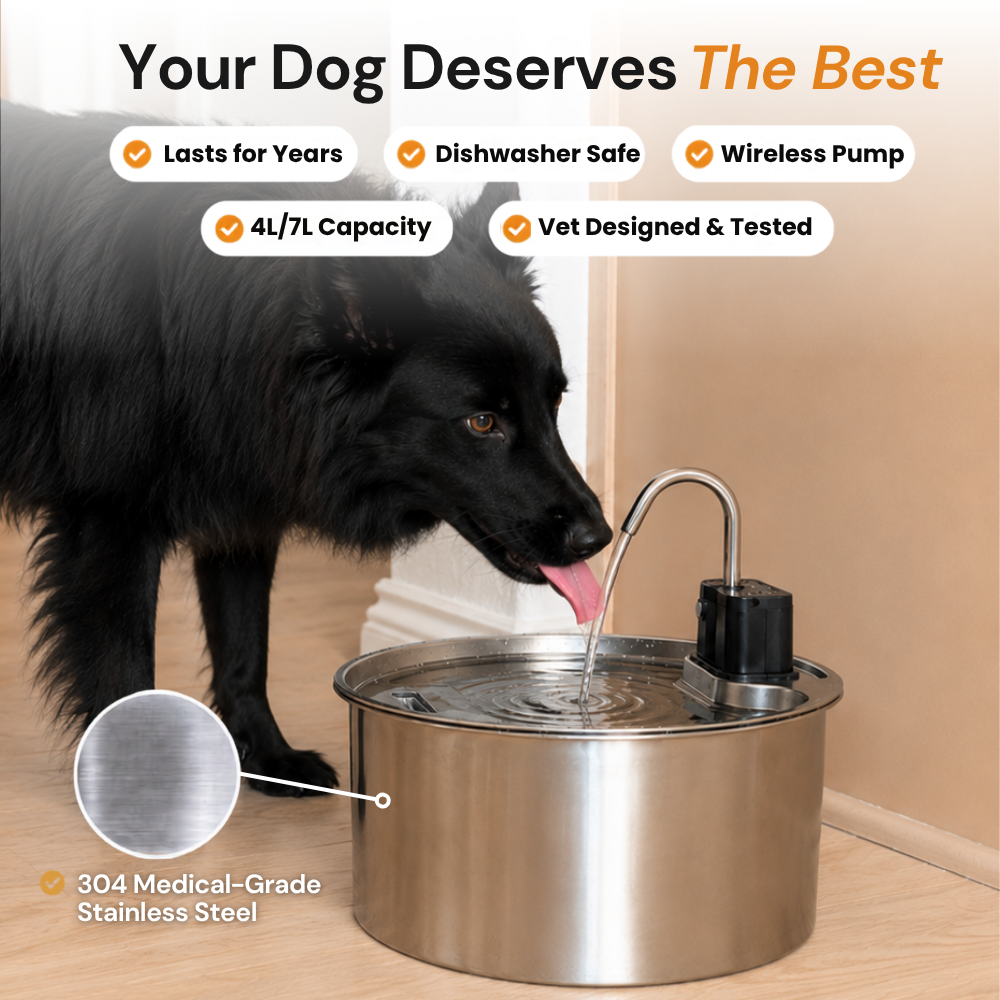 DoggySpout product view