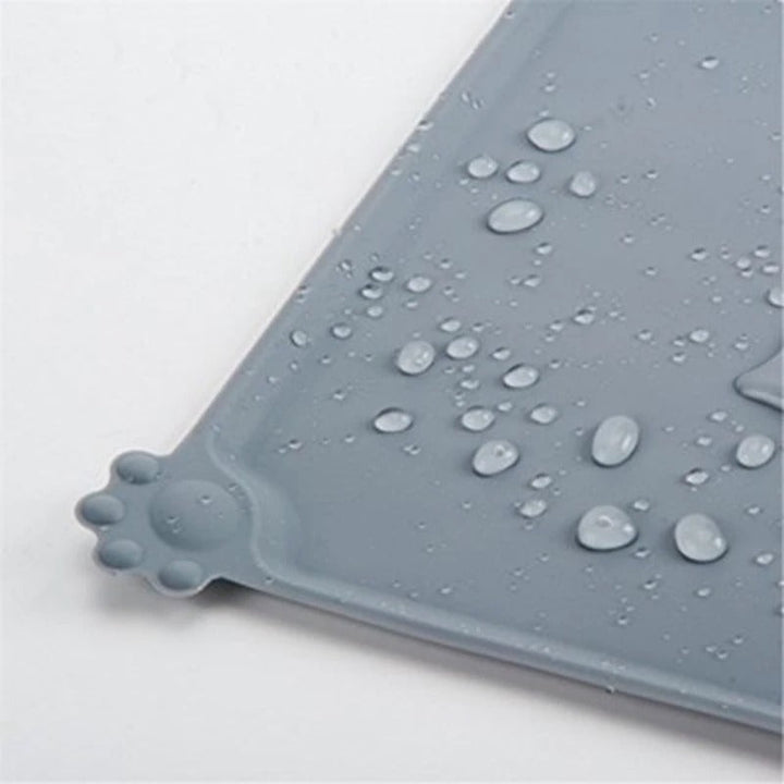 Free Anti-Splash Mat For The DoggySpout™