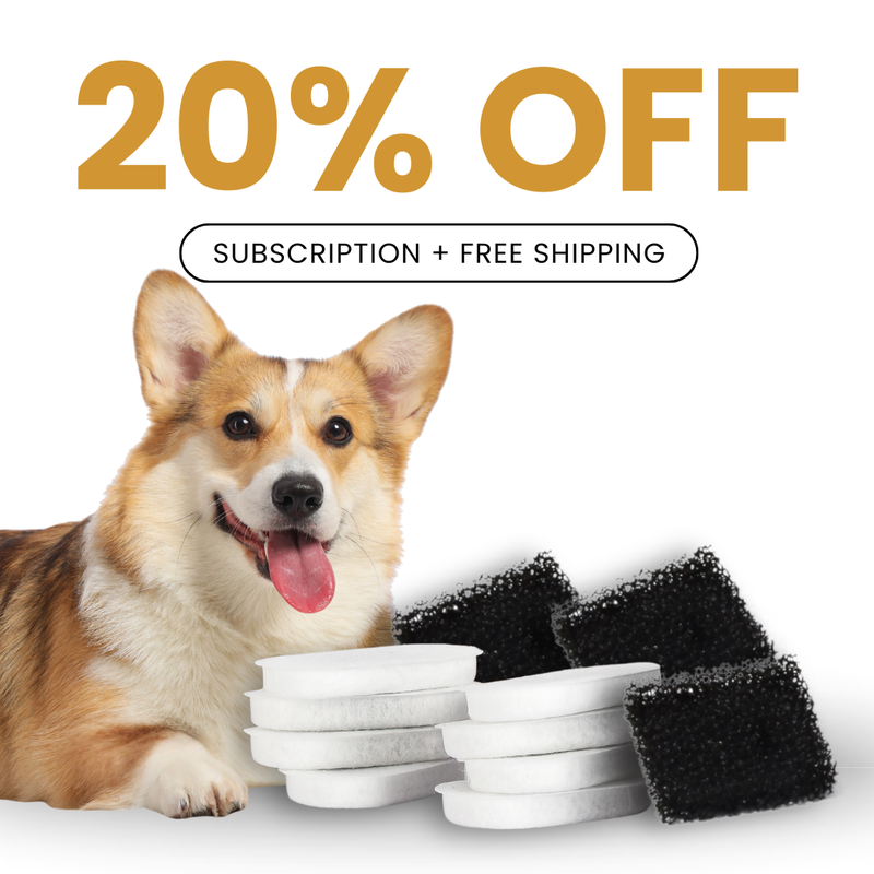 Filtros para Fuente DoggySpout™