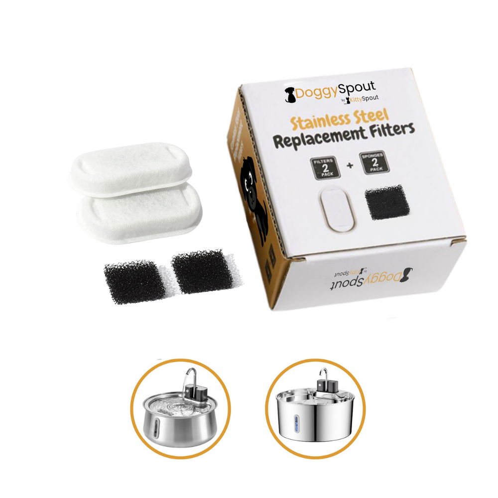 DoggySpout™ Fountain Filters 1-month