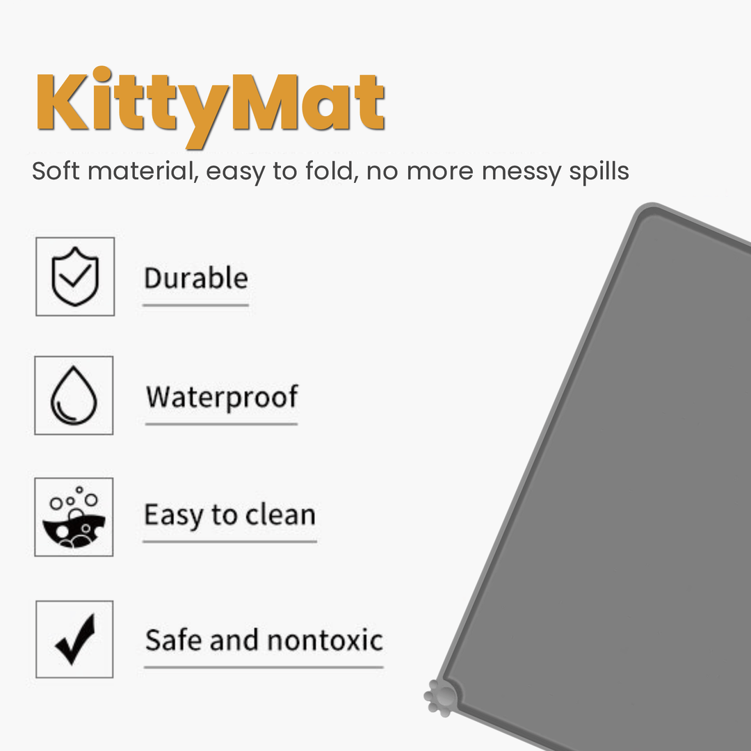 Free Anti-Splash Mat For The DoggySpout™