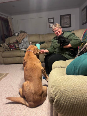 Suzanna N., Florida, Madre de perros