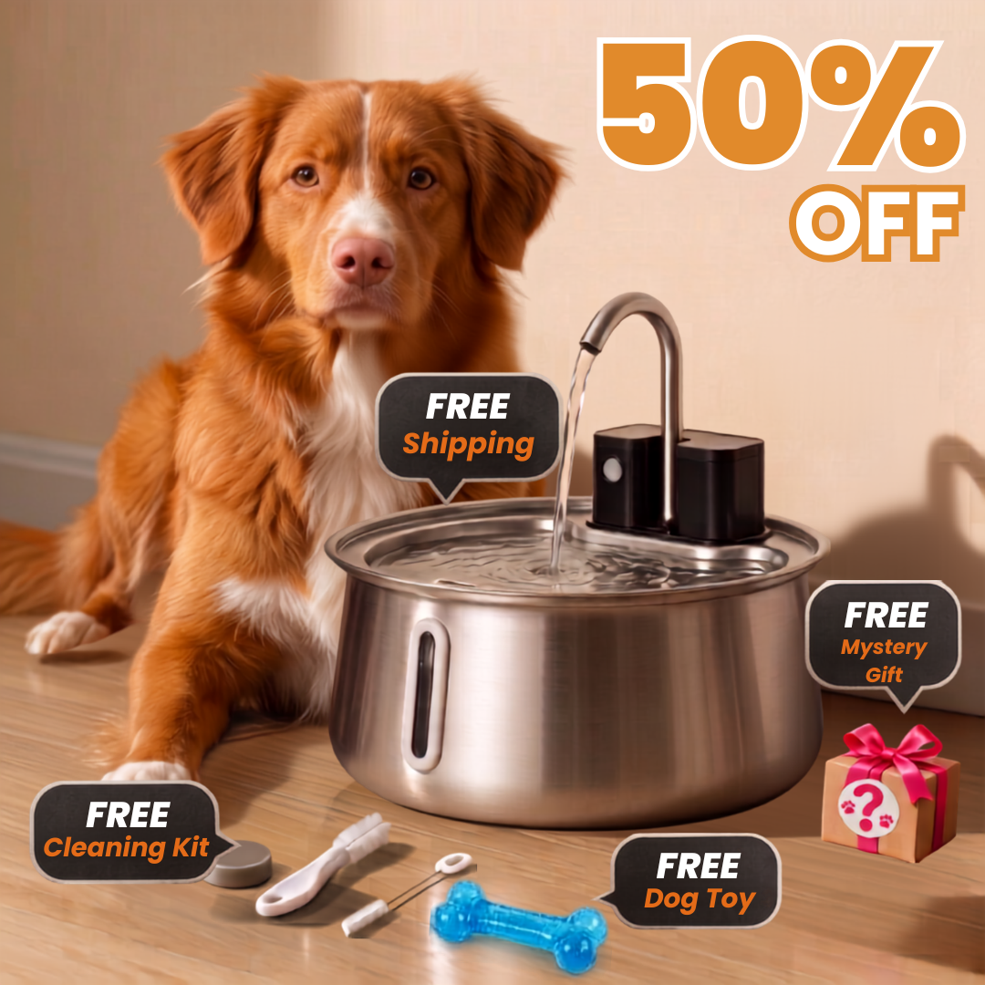 The DoggySpout fountain with its free gifts